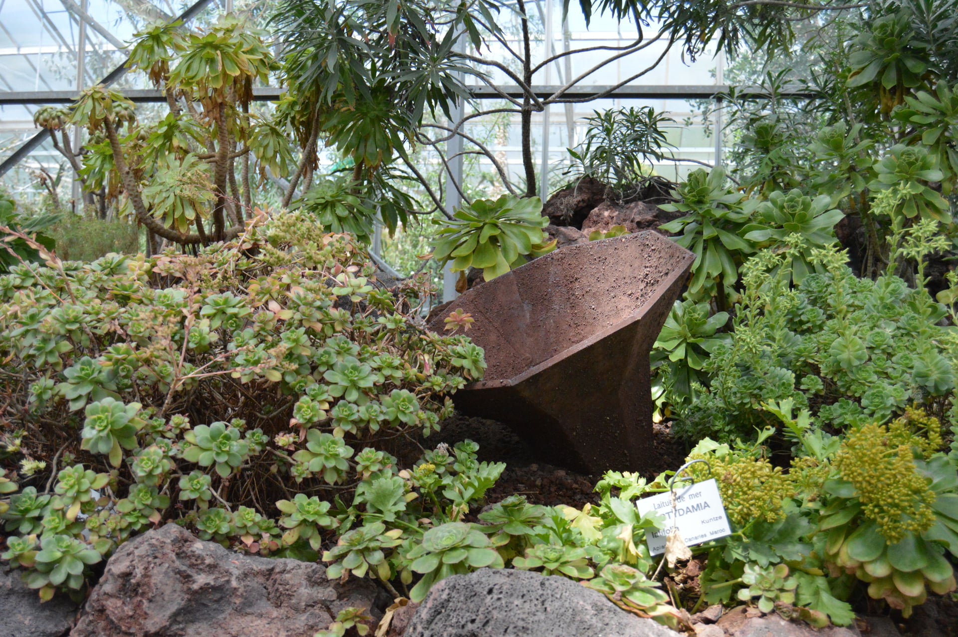 Pavillon de phonographe sortant terre au coeur d'une serre végétale abondante