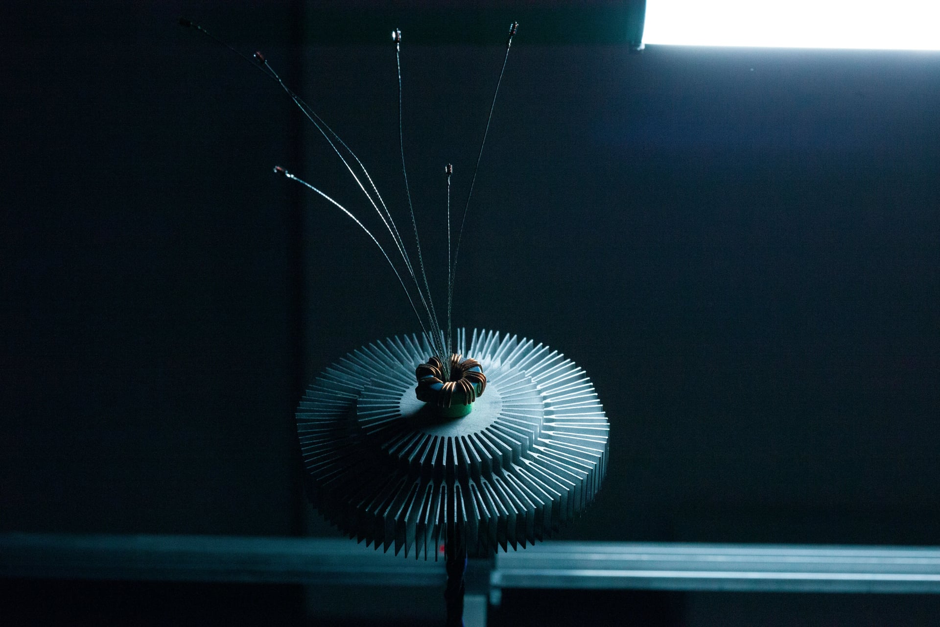 Gros plan sur la première fleur électronique